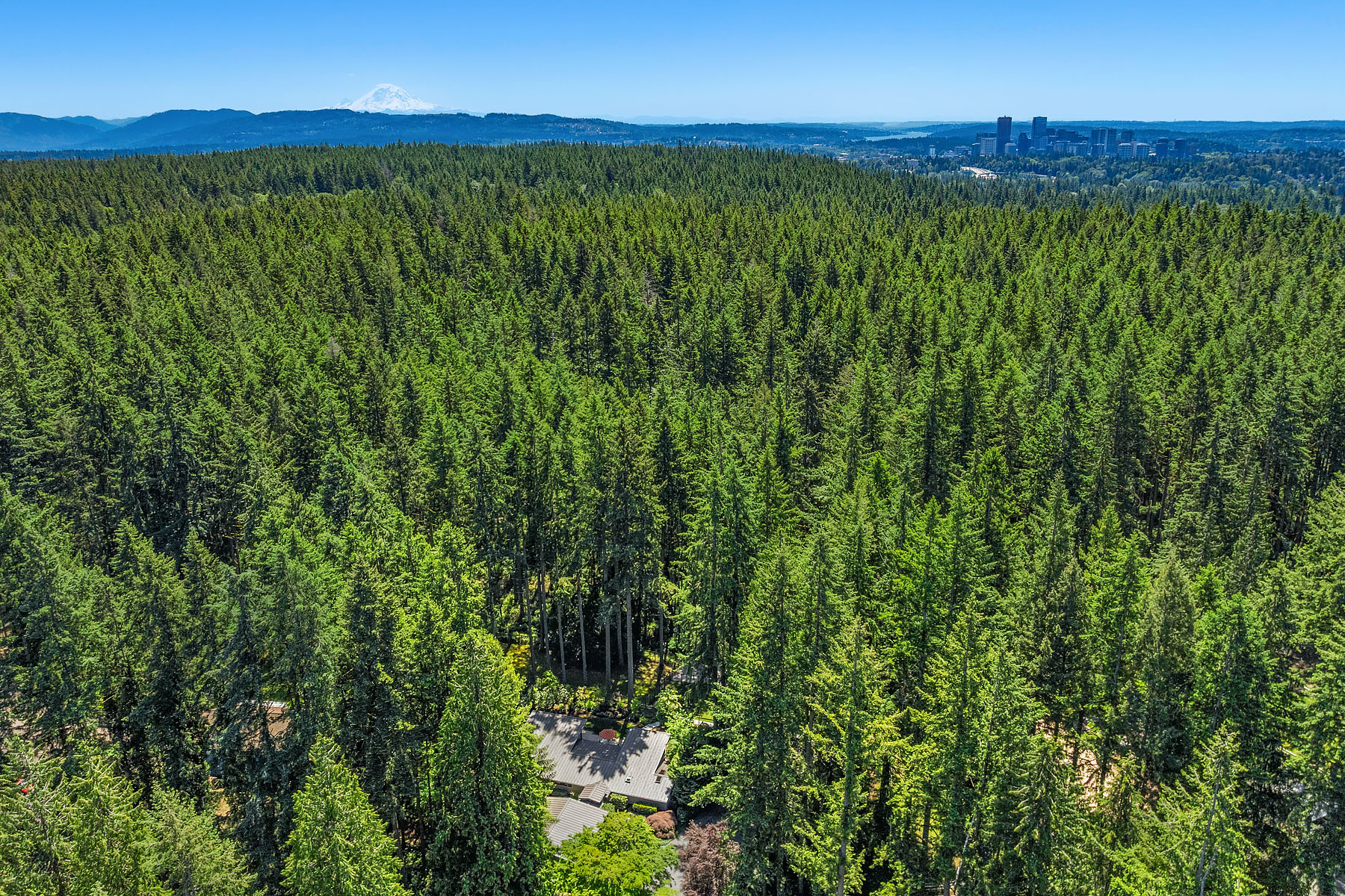 Aerial view of the residence among forested acres, Mt. Rainier and downtown Bellevue in the distance